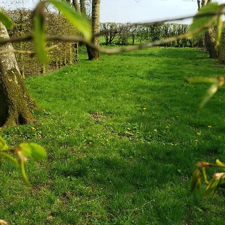 Camping Le Pré Fleuri Febvin-Palfart